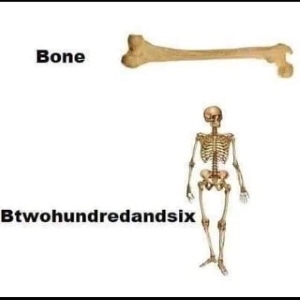Btwohundredandsix