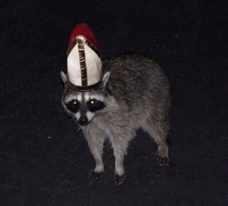Scotchpope