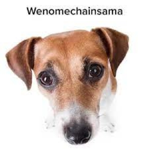 Wenomechainsama